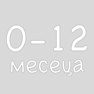 0 - 12 месеца