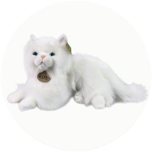 Котки