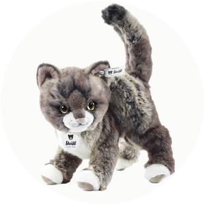 Плюшени  котета