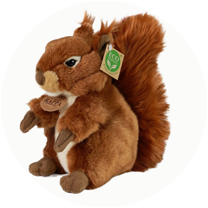 Плюшени Катерици