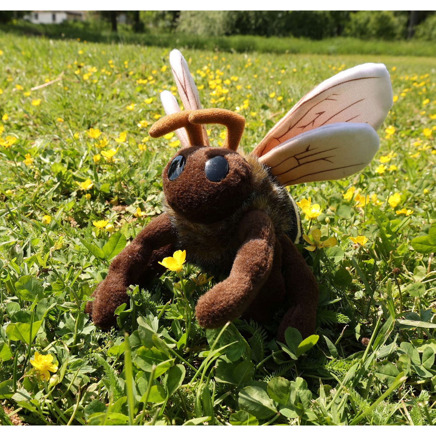 Плюшена Пчела Rappa