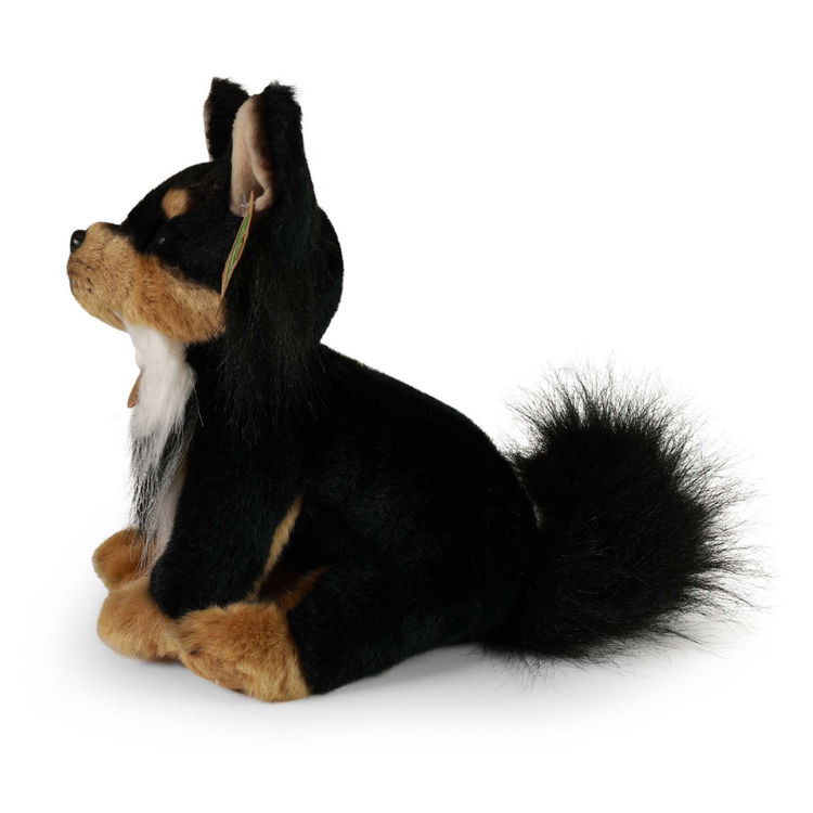 Плюшено куче Чихуахуа Rappa