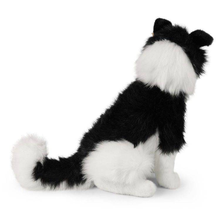 Плюшено куче Бордър Коли Rappa