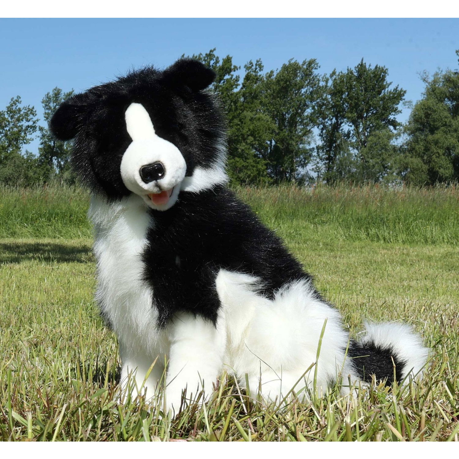 Плюшено куче Бордър Коли Rappa