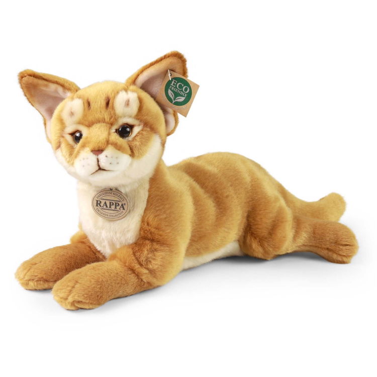 Плюшена Абисинска Котка Rappa