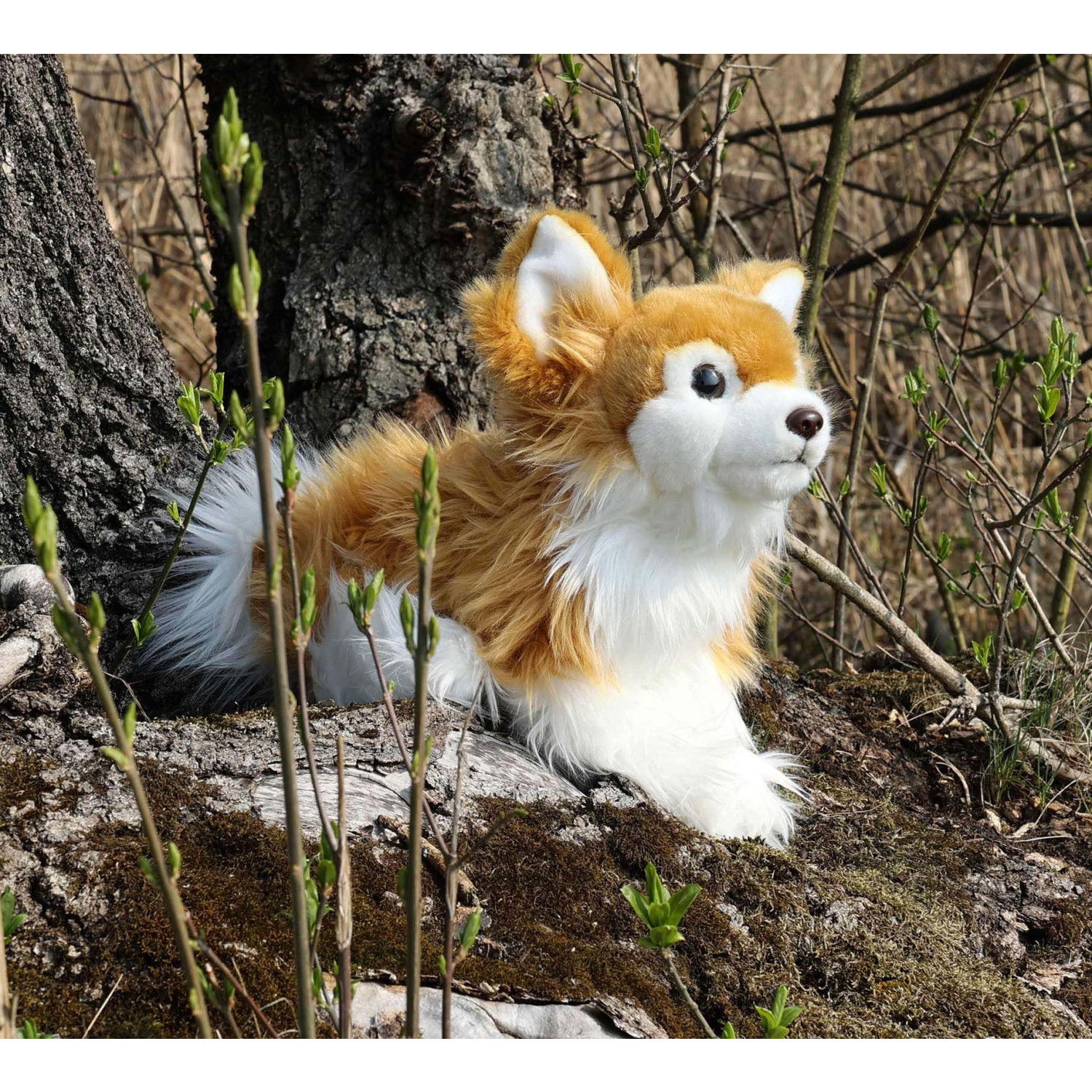 Плюшено куче Чихуахуа Rappa