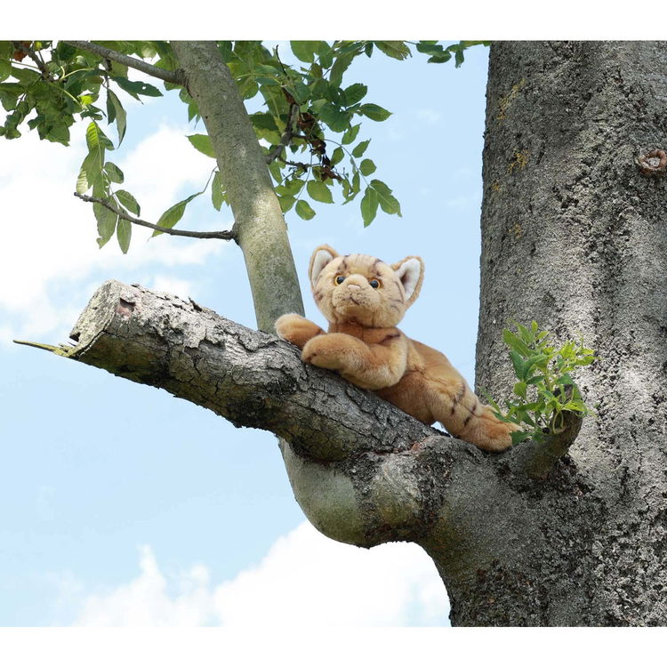 Плюшена Котка Rappa