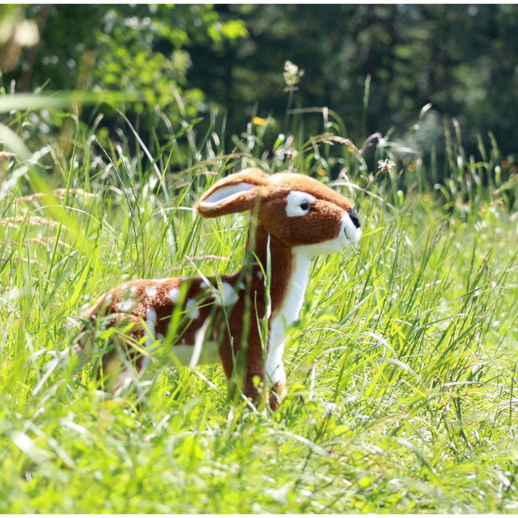 Плюшена Сърничка Rappa