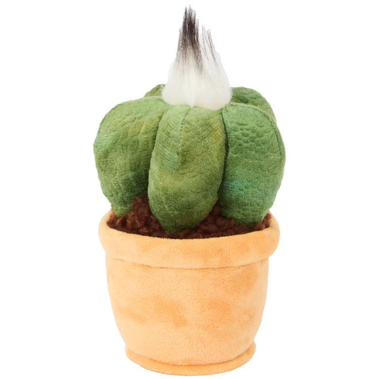 Плюшен Кактус