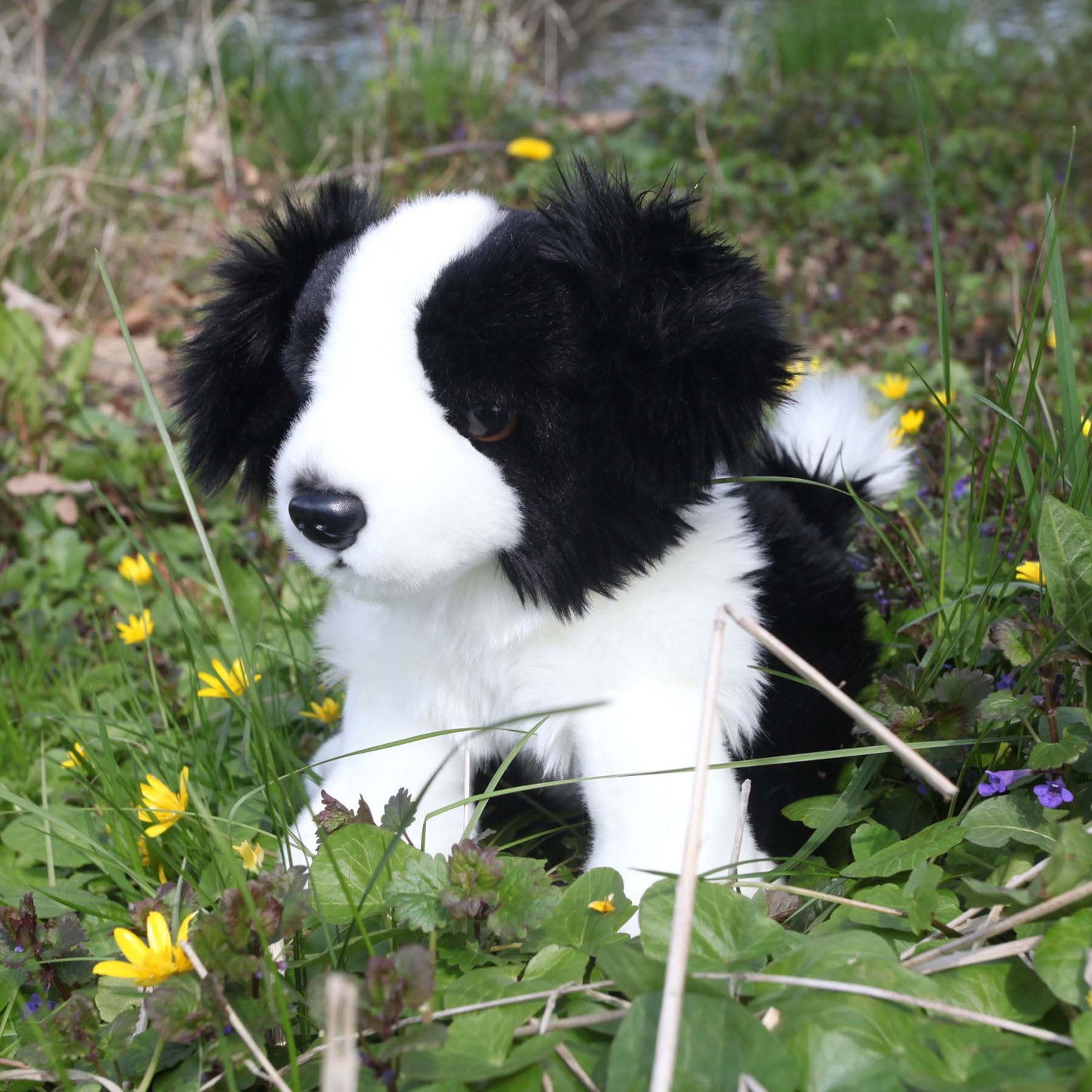 Плюшено куче бебе Бордър Коли Rappa