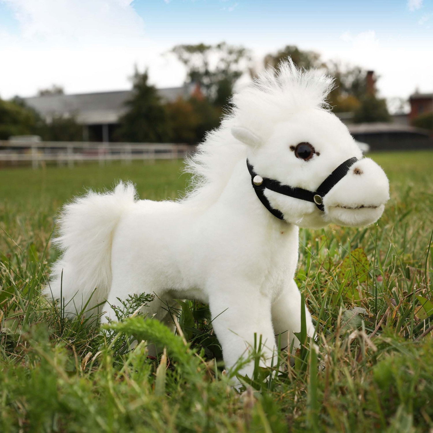 Плюшено Конче Rappa