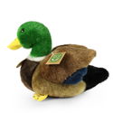 Плюшена дива патица Rappa