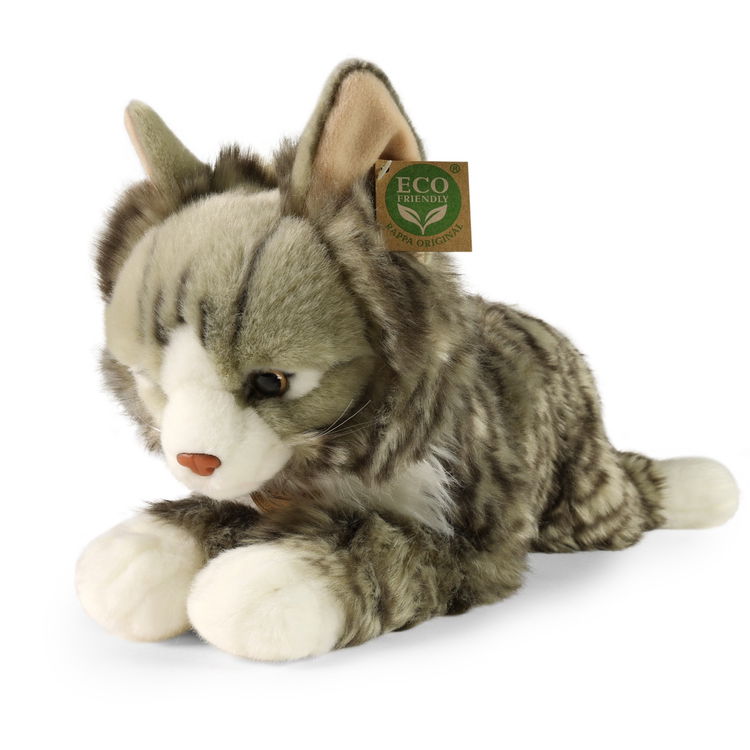 Плюшена Норвежка котка Rappa