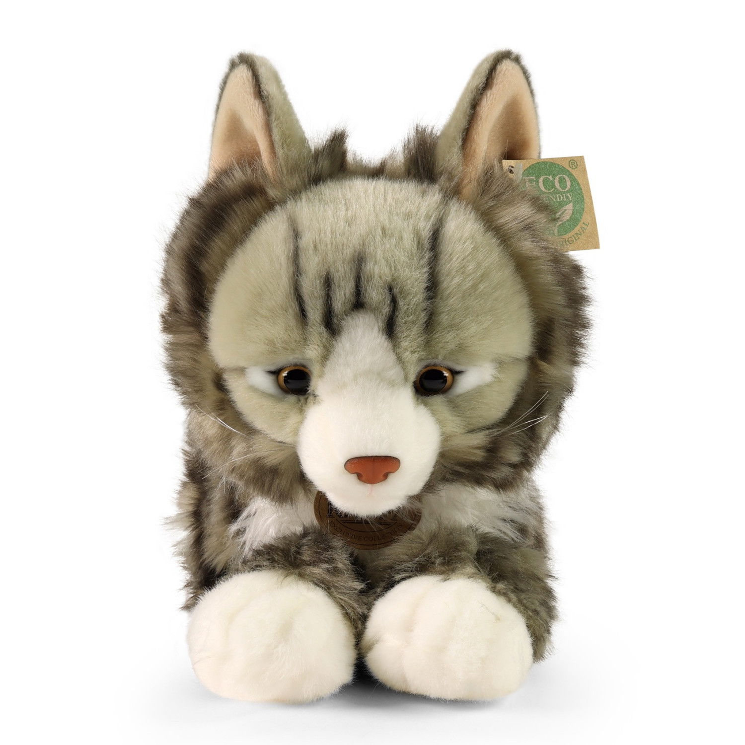 Плюшена Норвежка котка Rappa