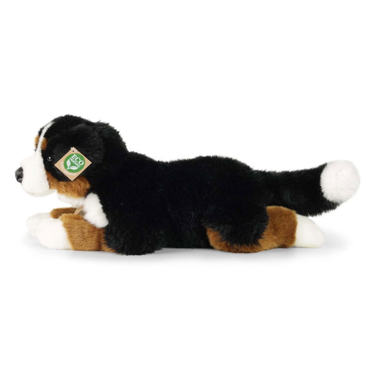 Плюшено куче Бернски зененхунд Rappa