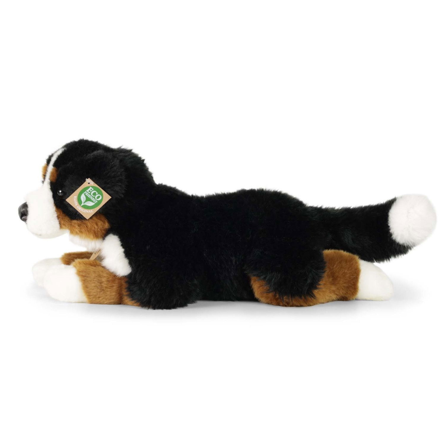 Плюшено куче Бернски зененхунд Rappa