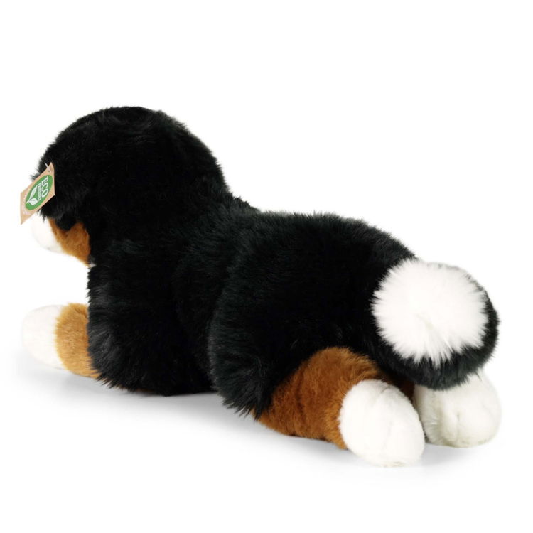 Плюшено куче Бернски зененхунд Rappa