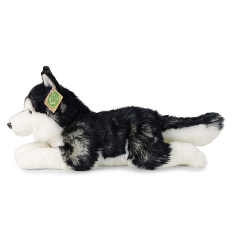 Плюшено куче Хъски Rappa