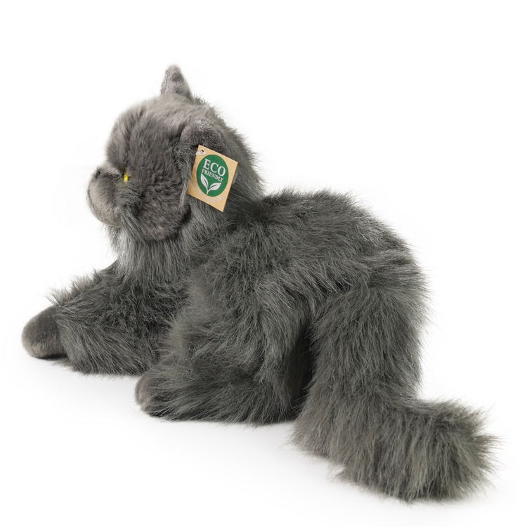 Плюшена Персийска котка Rappa