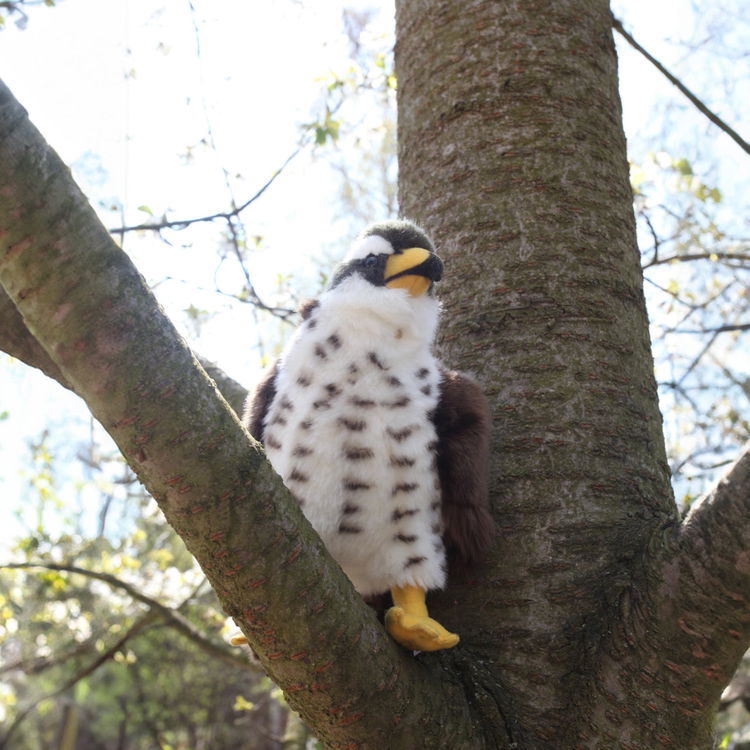 Плюшен Ястреб Rappa