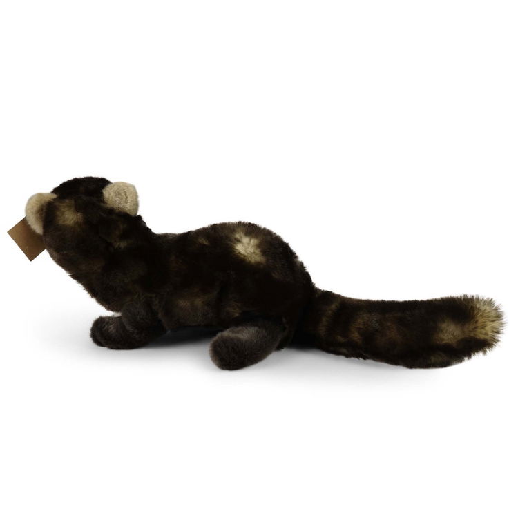 Плюшена Златка - Мартен Rappa