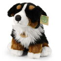 Плюшено куче бебе Бернски зененхунд Rappa