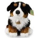 Плюшено куче бебе Бернски зененхунд Rappa