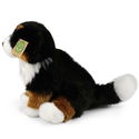 Плюшено куче бебе Бернски зененхунд Rappa