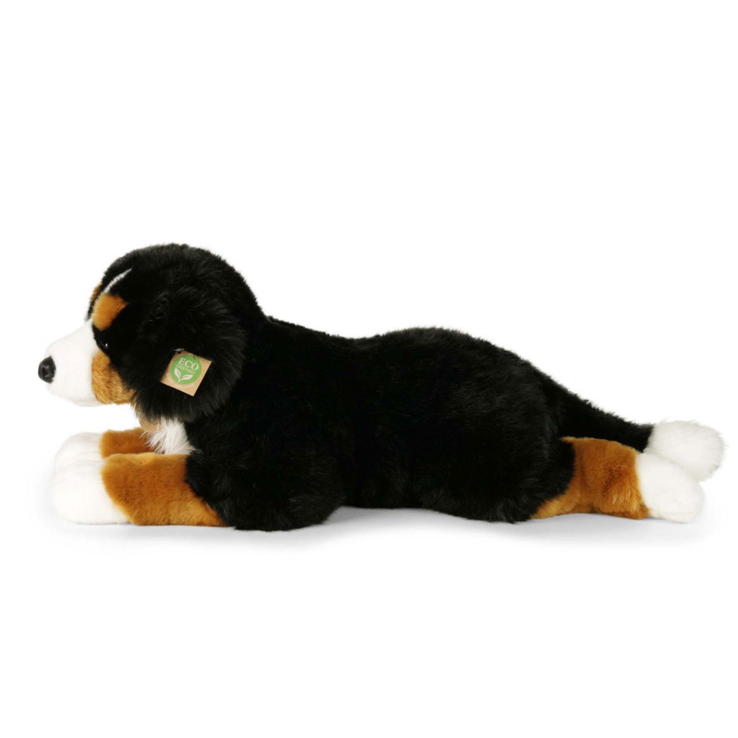 Плюшено куче Бернски зененхунд Rappa