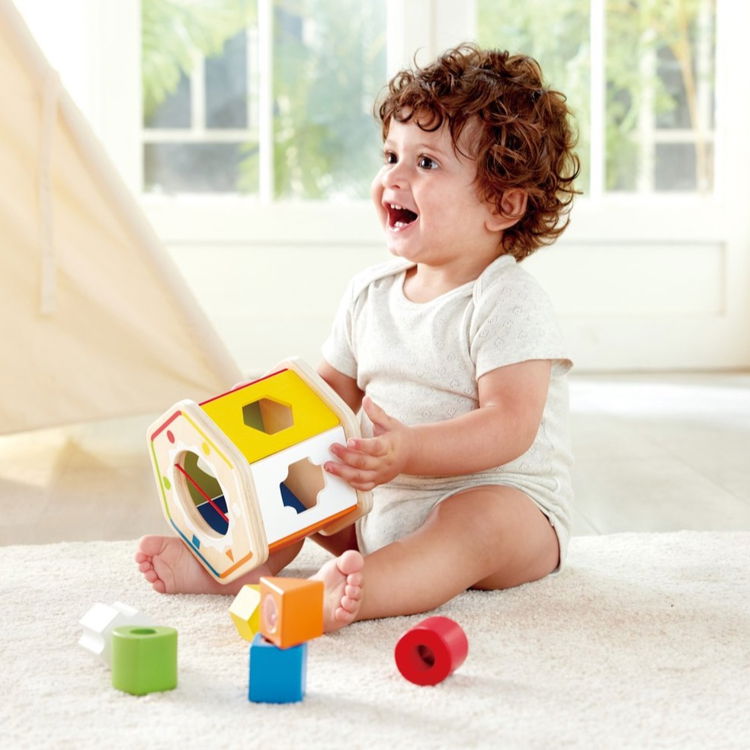 Дървен цветен сортер, Hape