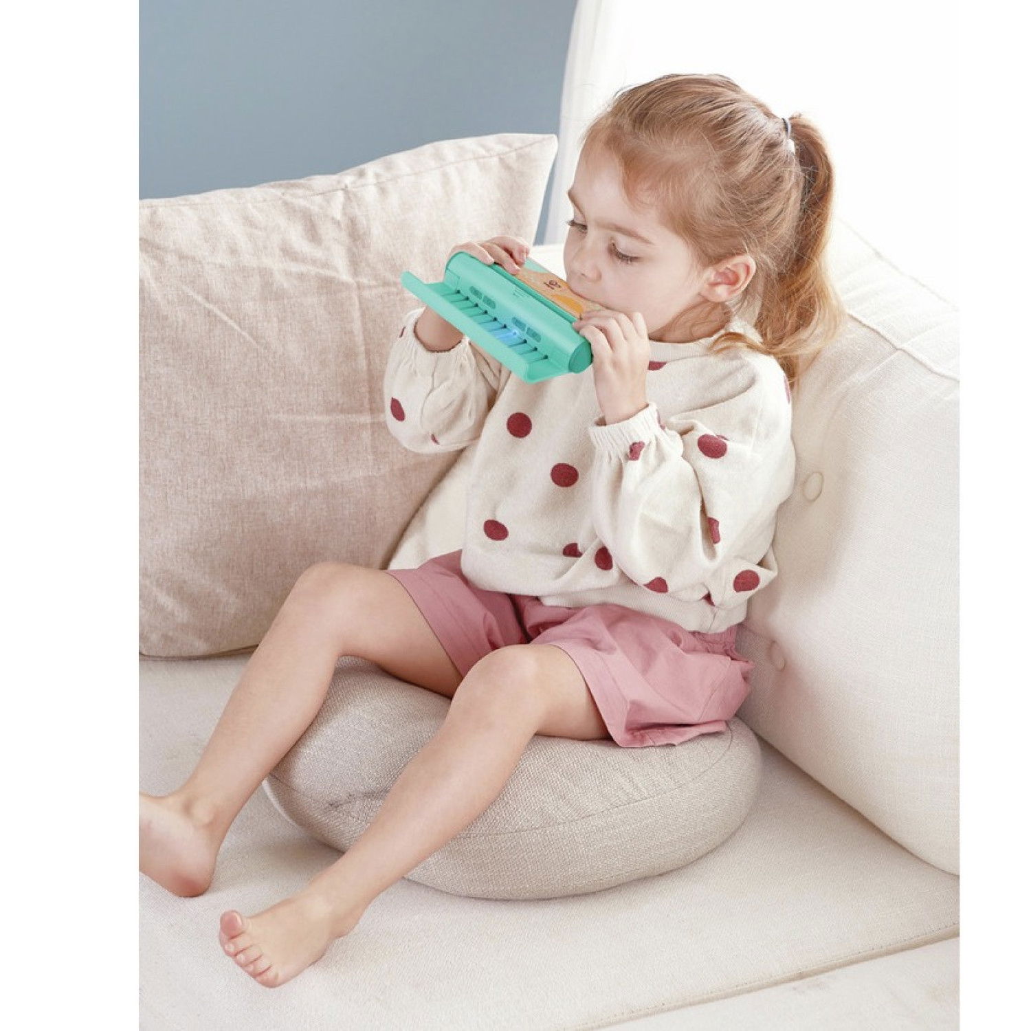 Дървена хармоника, Hape