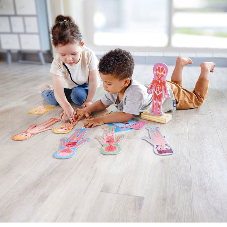 Магнитен пъзел Човешкото тяло, Hape