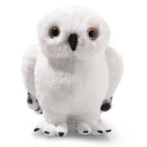 Hedwig owl
