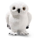 Hedwig owl