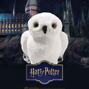 Hedwig owl