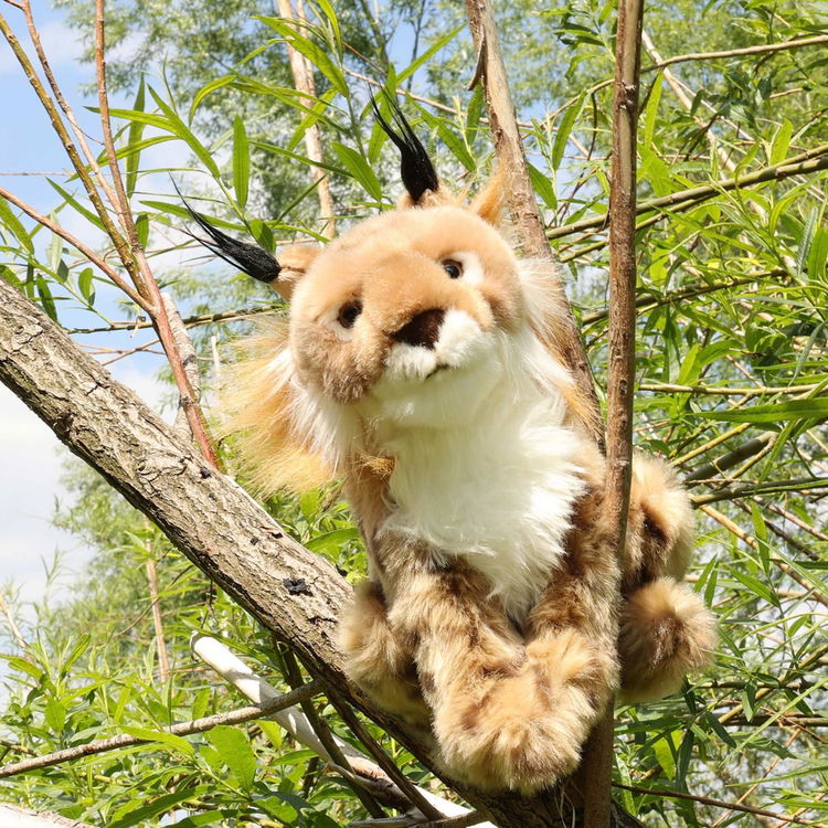 Плюшен Рис Rappa