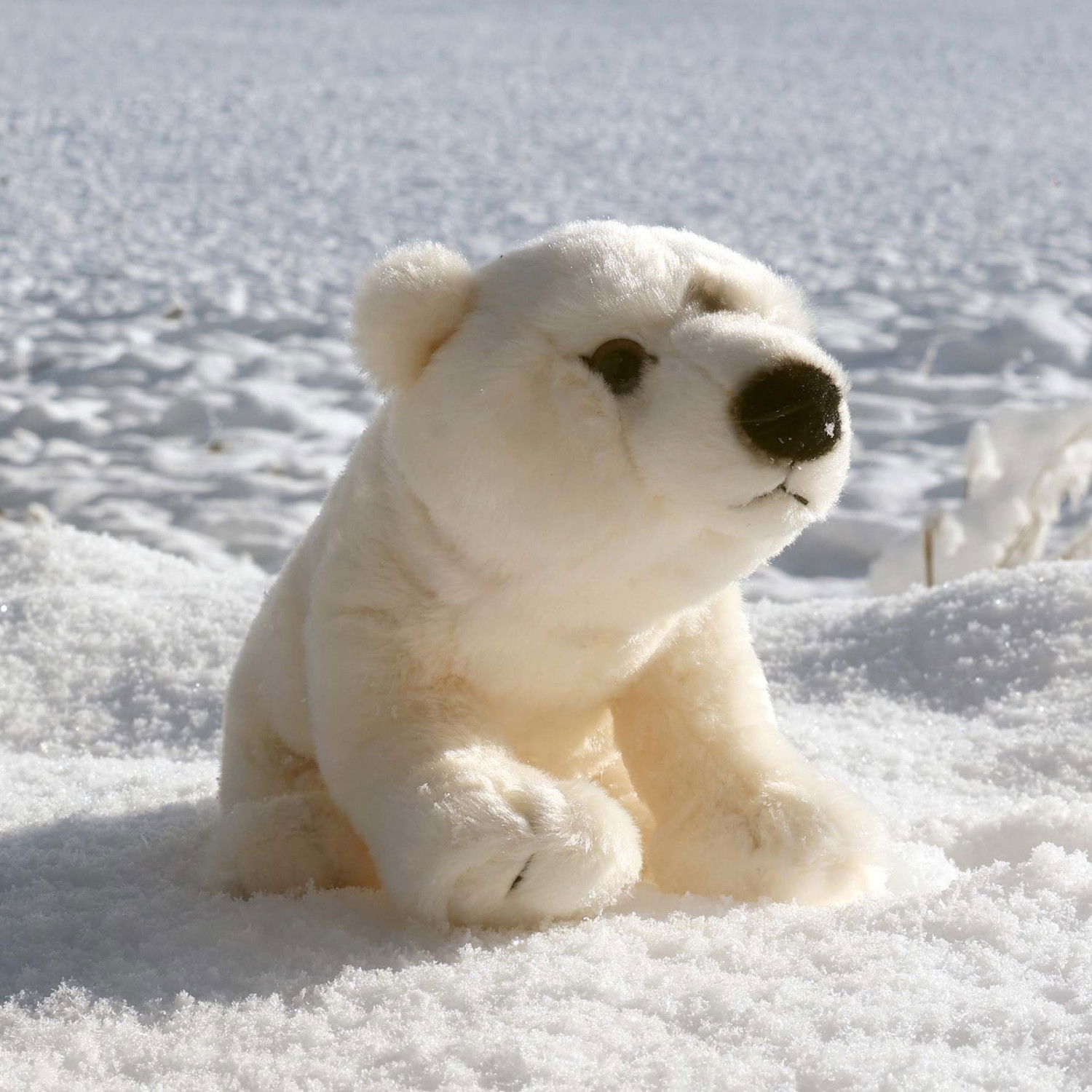 Плюшено Полярно Мече Rappa