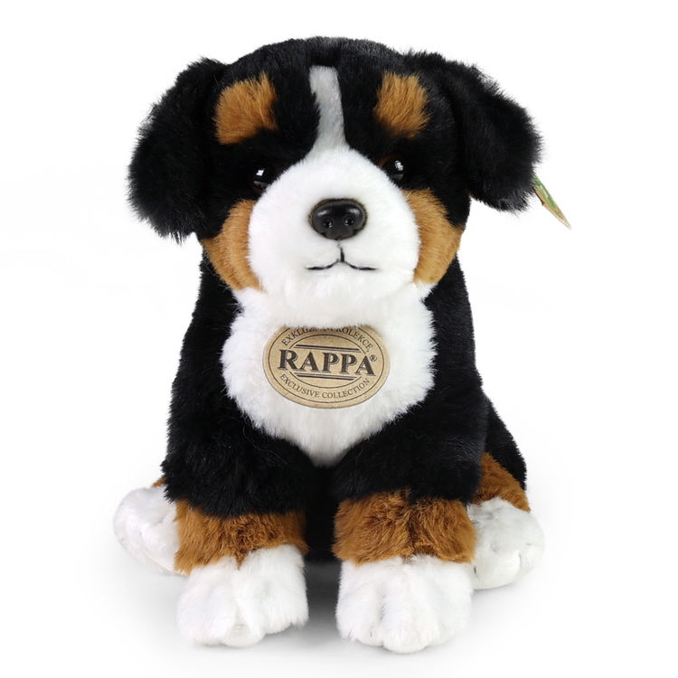 Плюшено Планинско куче Rappa