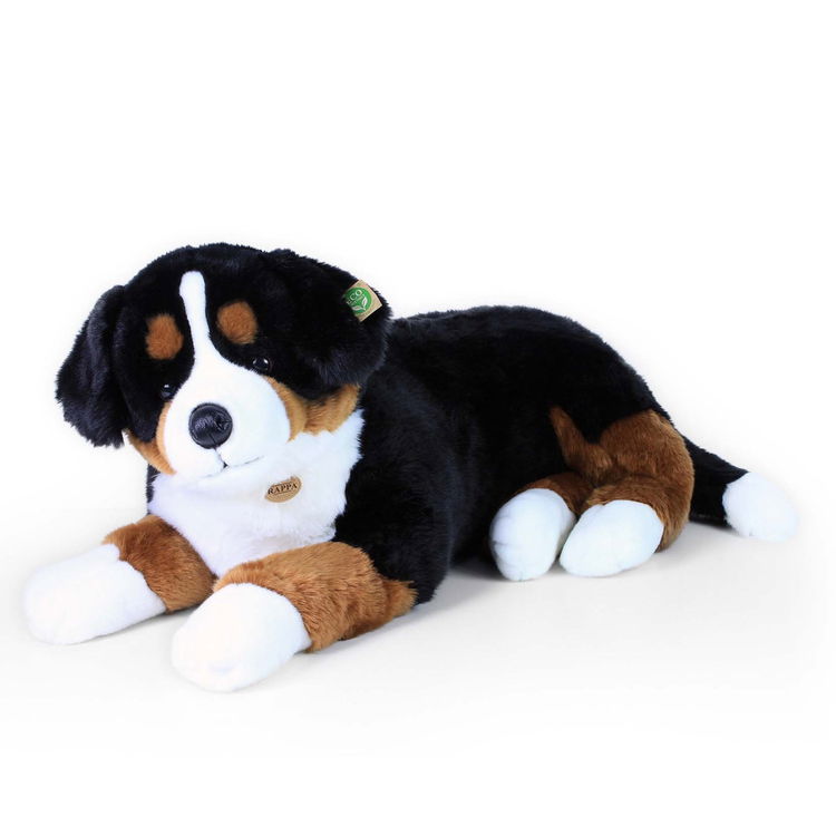 Плюшено куче Бернски зененхунд Rappa