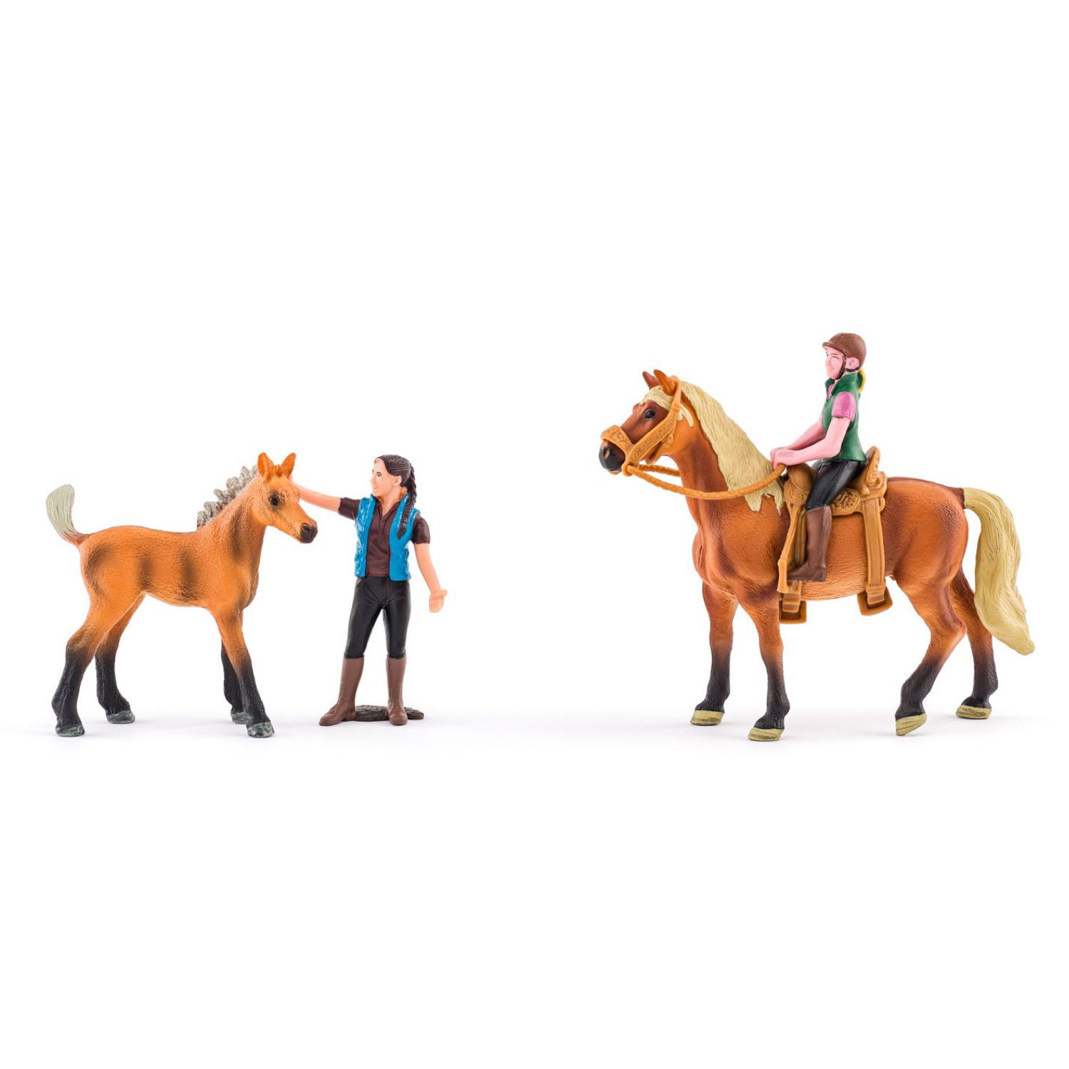 Училище за езда с кончета и аксесоари, 23 части