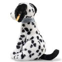 Oskar dalmatian