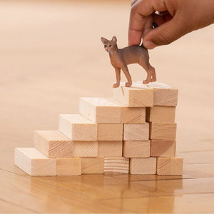 Фигурка Коте Абисинска, Schleich