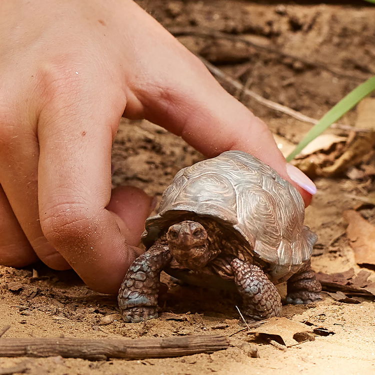 Фигурка Гигантска Костенурка, Schleich