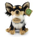 Плюшено куче Чихуахуа Rappa