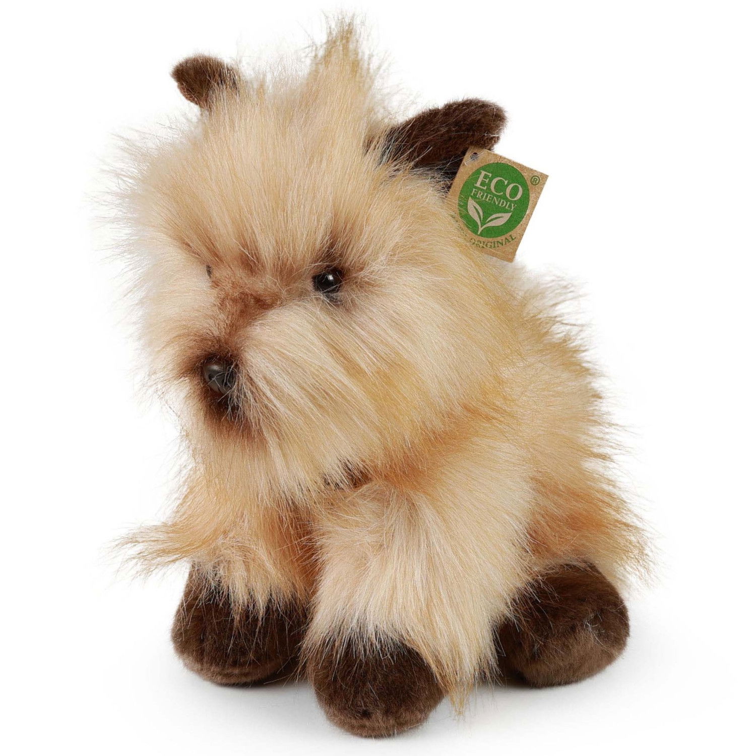 Плюшено куче Териер Rappa