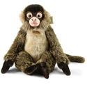 Плюшена Паякообразна Маймуна Rappa