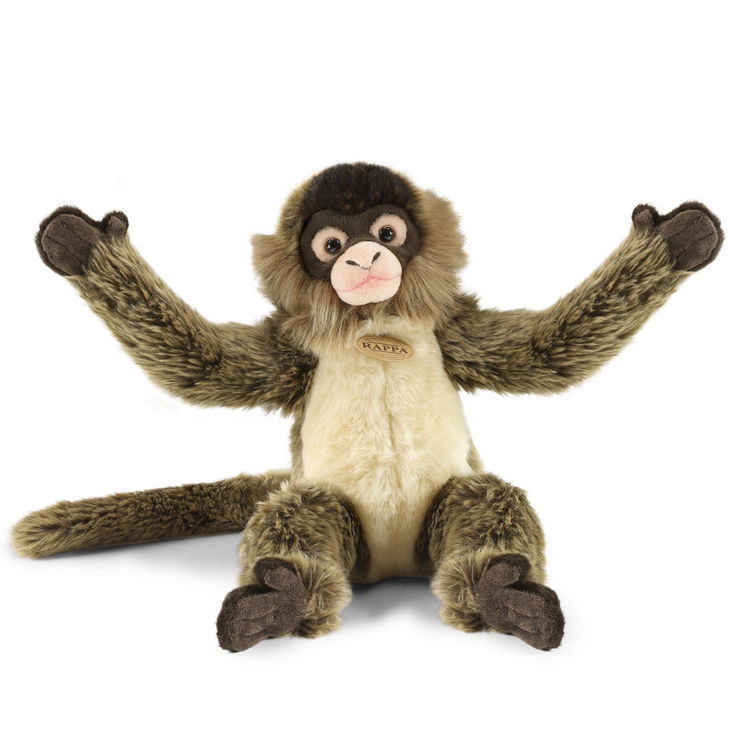 Плюшена Паякообразна Маймуна Rappa