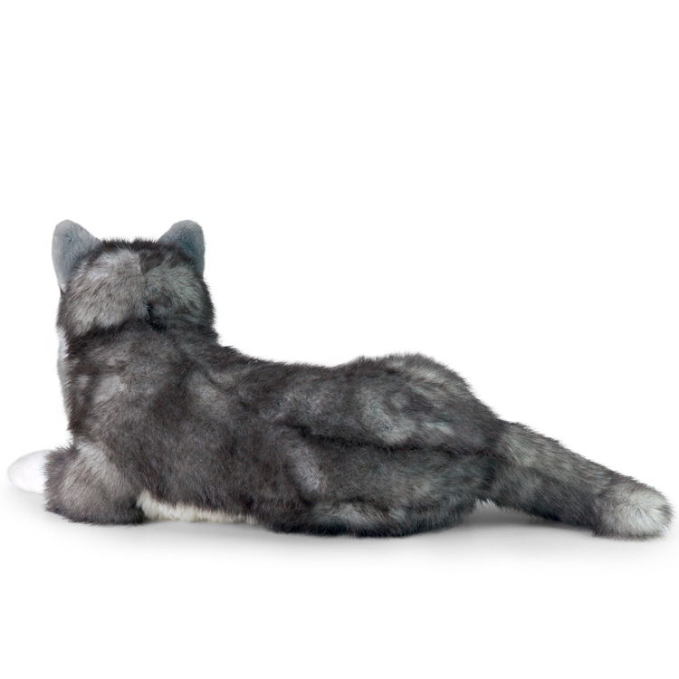 Плюшено куче Хъски Rappa