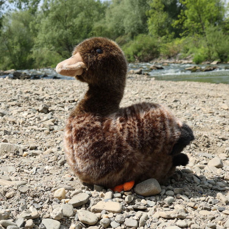 Плюшена дива патица Rappa