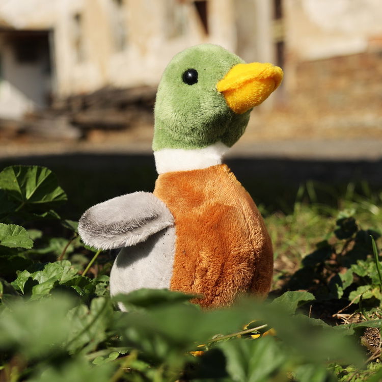 Плюшена Дива патица бебе със звук Rappa